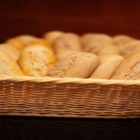 호텔 Boutique Milano Rotterdam-centre 3*